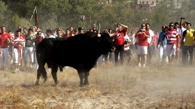 Imagen de 'El Toro de la Vega'