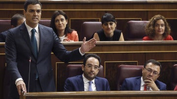 El líder del PSOE, Pedro Sánchez, durante una intervención en el pleno del Congreso