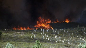 Llamas del incendio forestal de Quintana