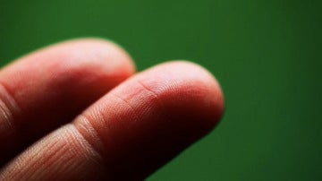 Las huellas dactilares son nuestra identificación más fiable