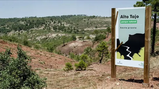Incendio Guadalajara 2005 Incendio Guadalajara 2005