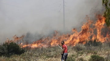 Incendio en los alrededores de Atenas, la capital griega