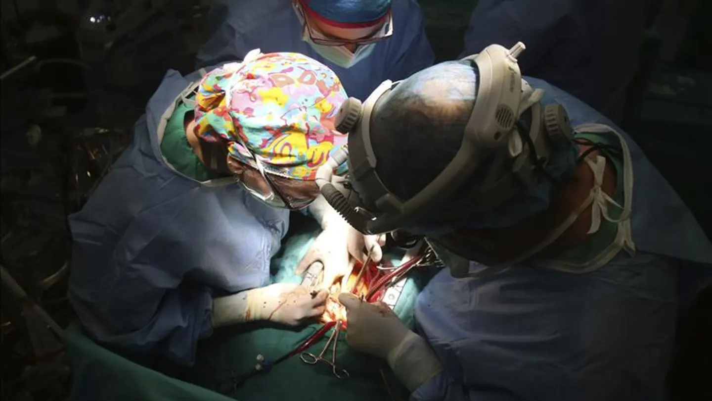 Médicos durante una operación de trasplante Médicos durante una operación de trasplante