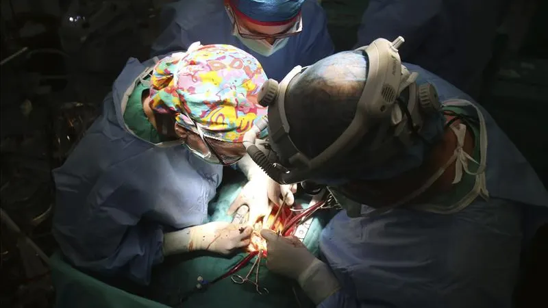 Médicos durante una operación de trasplante Médicos durante una operación de trasplante
