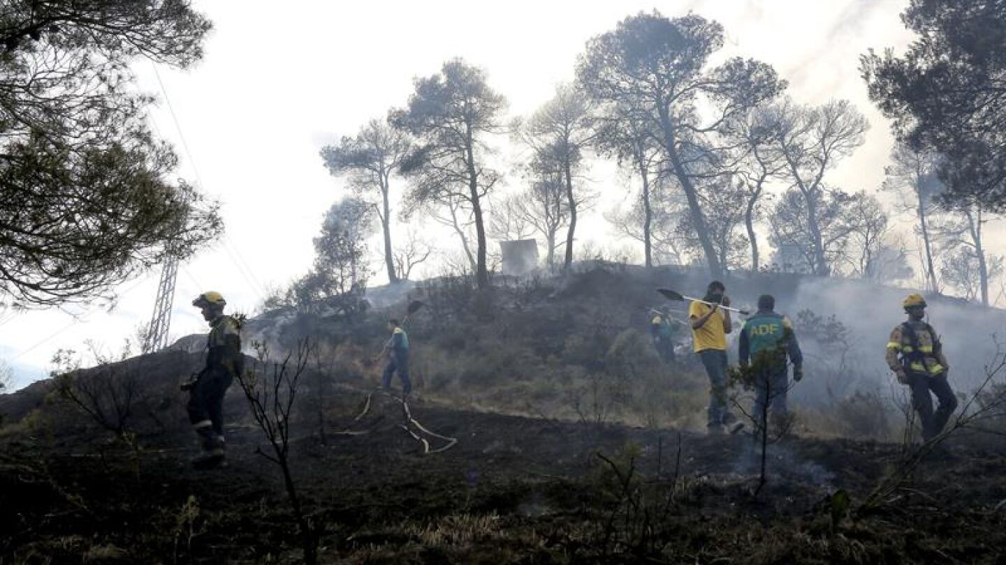 Efectivos de bomberos y ADFs combaten el fuego del incendio de &Oacute;dena