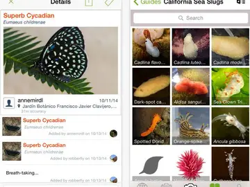 Aplicación iNaturalist Aplicación iNaturalist
