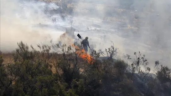 Extinción de un incendio forestal Extinción de un incendio forestal