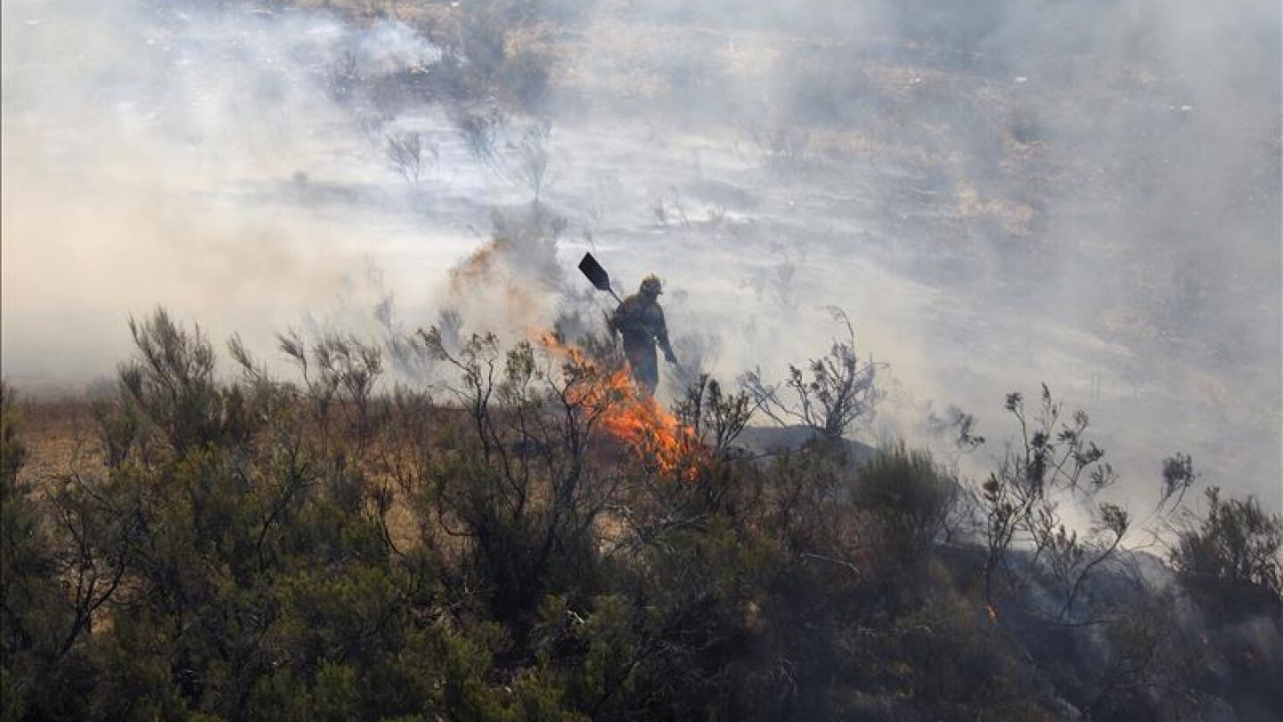 Extinci&oacute;n de un incendio forestal