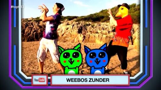Weebos Zunder es 'El Temazo' con una canci&oacute;n sobre gatos