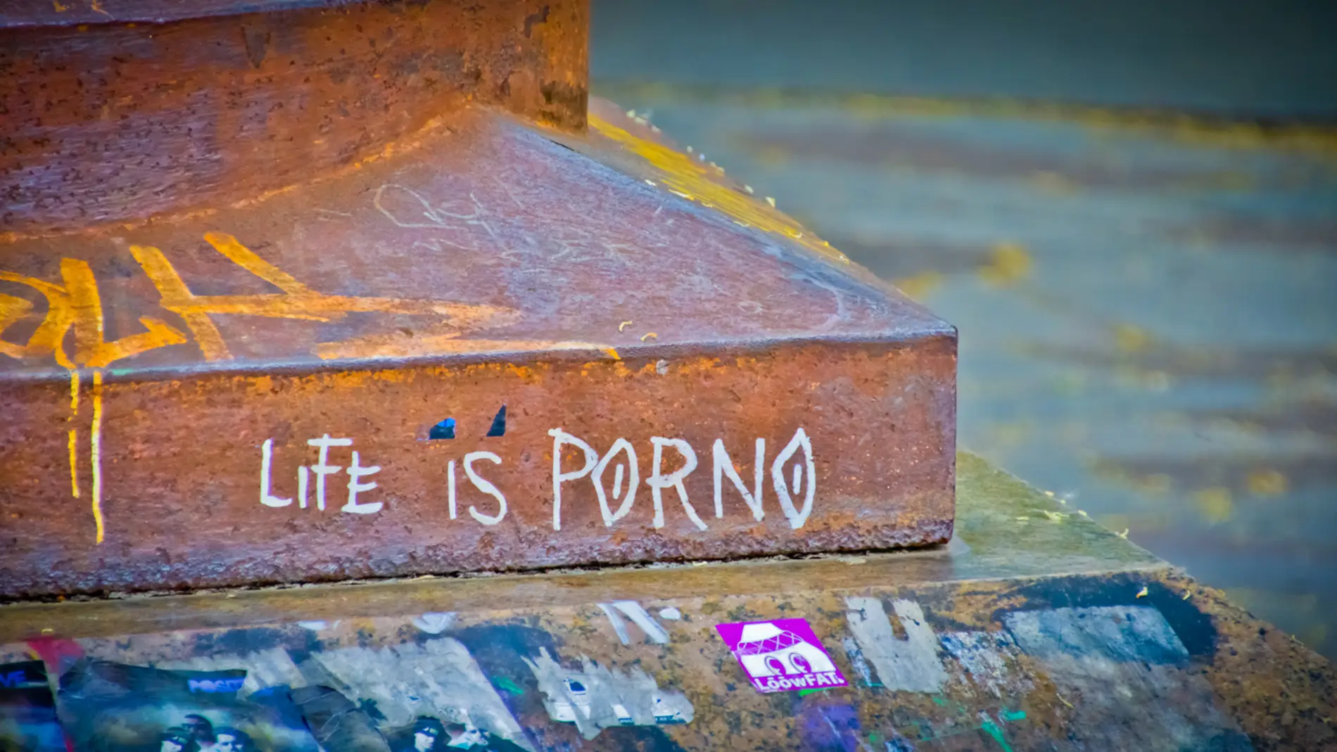 "Life is porno"