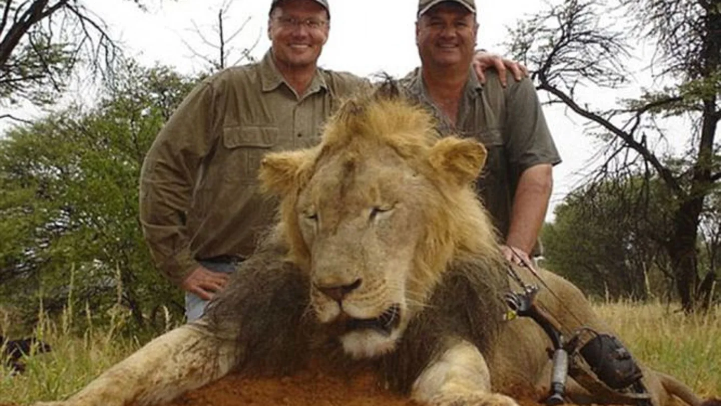 Los trofeos de Walter Palmer Los trofeos de Walter Palmer