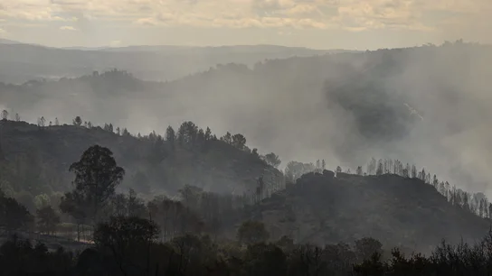 Vista de la superficie quemada en el incendio forestal registrado en Ourense Vista de la superficie quemada en el incendio forestal registrado en Ourense