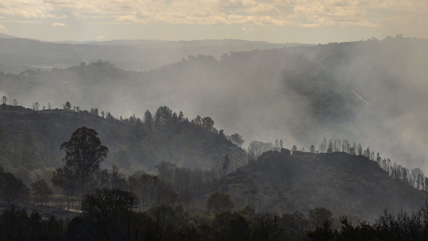 Vista de la superficie quemada en el incendio forestal registrado en Ourense