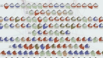 Extinción de especies