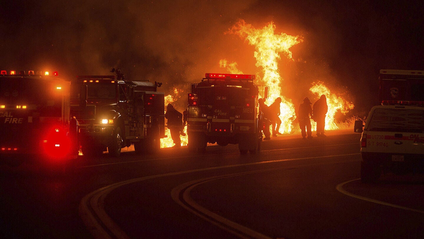 Bomberos trabajan en las labores de extinci&oacute;n del incendio forestal