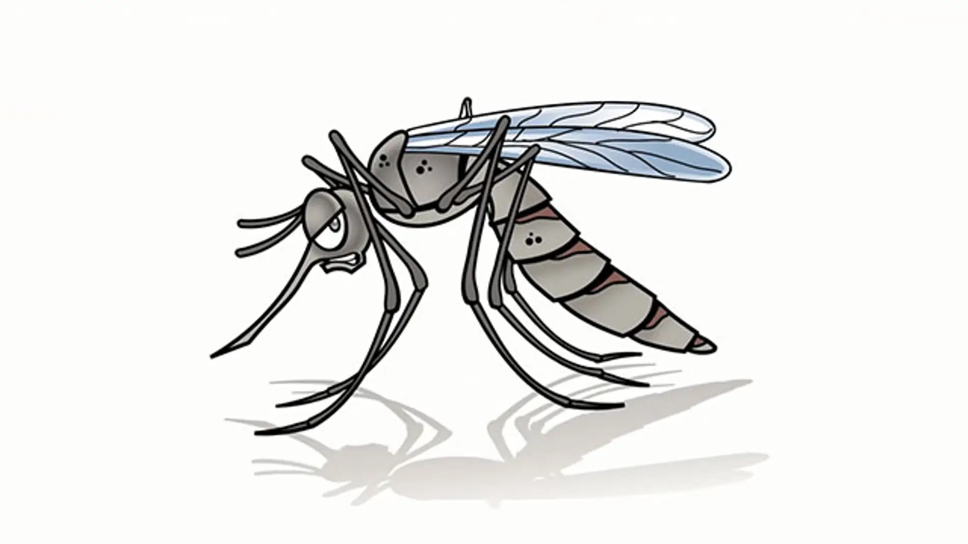 Cómo ganar la batalla al mosquito zumbón de las noches de verano