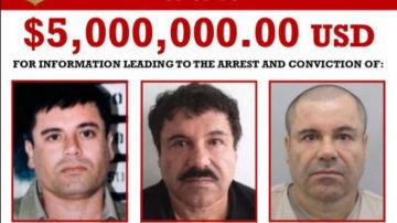 Carteles con la imagen de El Chapo''