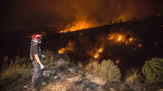 Un bombero observa el incendio forestal en uno de los tres focos activos en Cieza Un bombero observa el incendio forestal en uno de los tres focos activos en Cieza