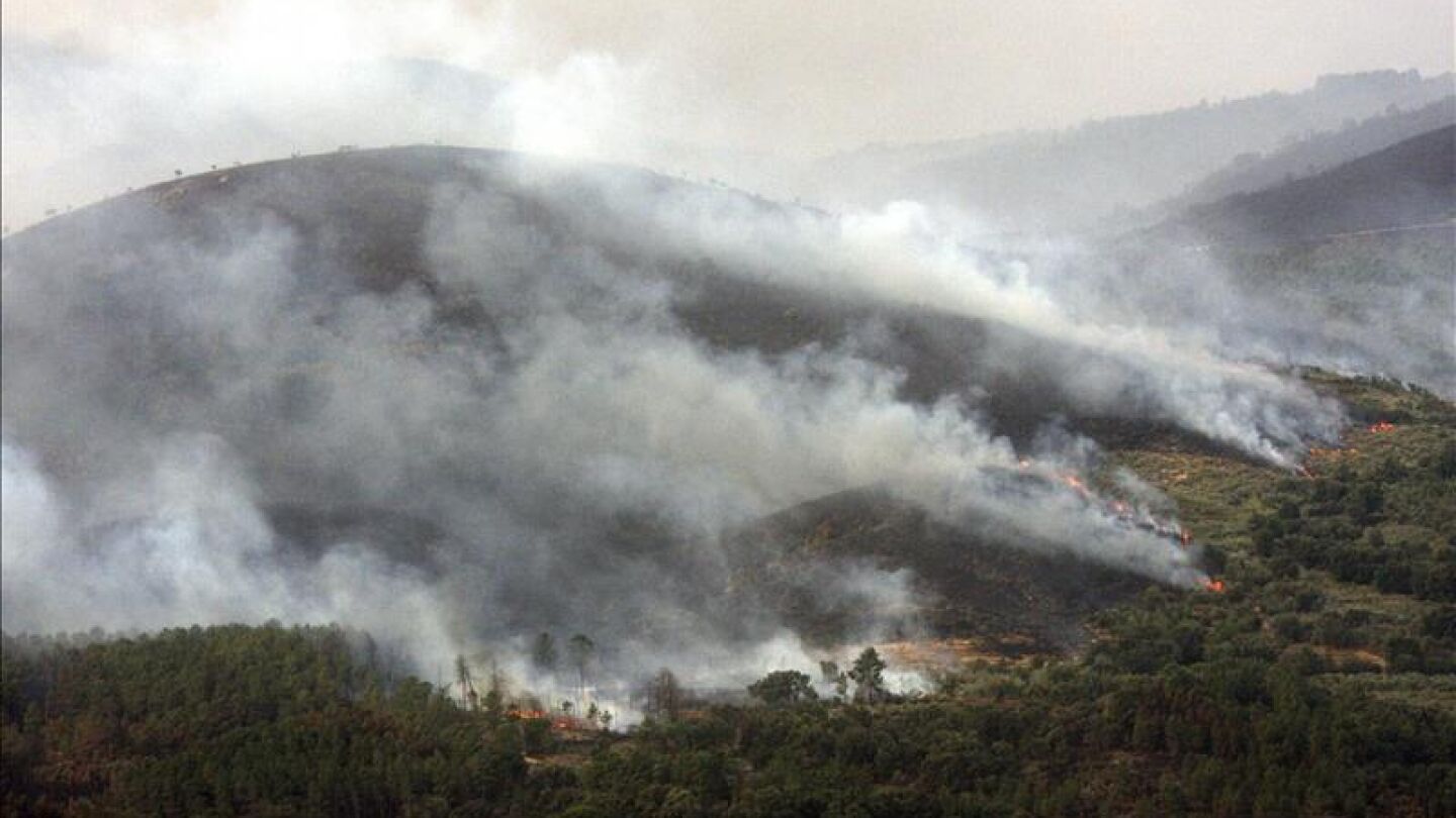 Uno de los frentes del incendio de la Sierra de Gata