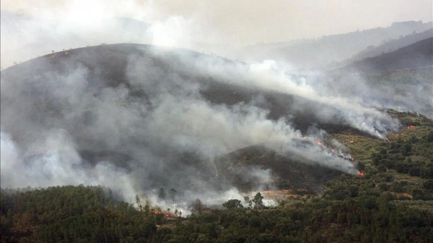 Uno de los frentes del incendio de la Sierra de Gata Uno de los frentes del incendio de la Sierra de Gata