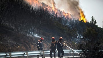 Los bomberos tratan de sofocar el incendio declarado en el norte de Portugal