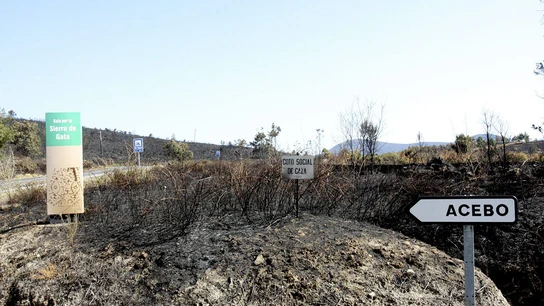 Parajes arrasados por el fuego que ha afectado a la Sierra de Gata Parajes arrasados por el fuego que ha afectado a la Sierra de Gata