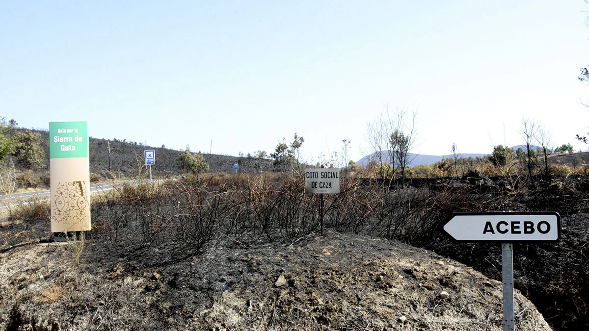 Parajes arrasados por el fuego que ha afectado a la Sierra de Gata