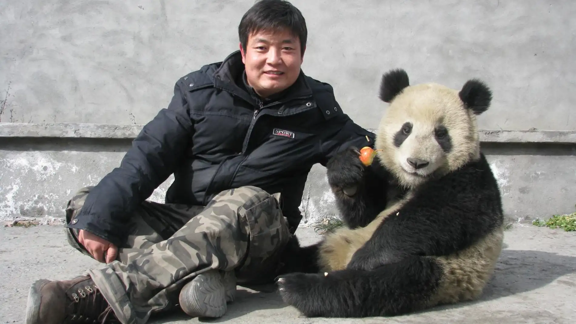 Un panda con su cuidador