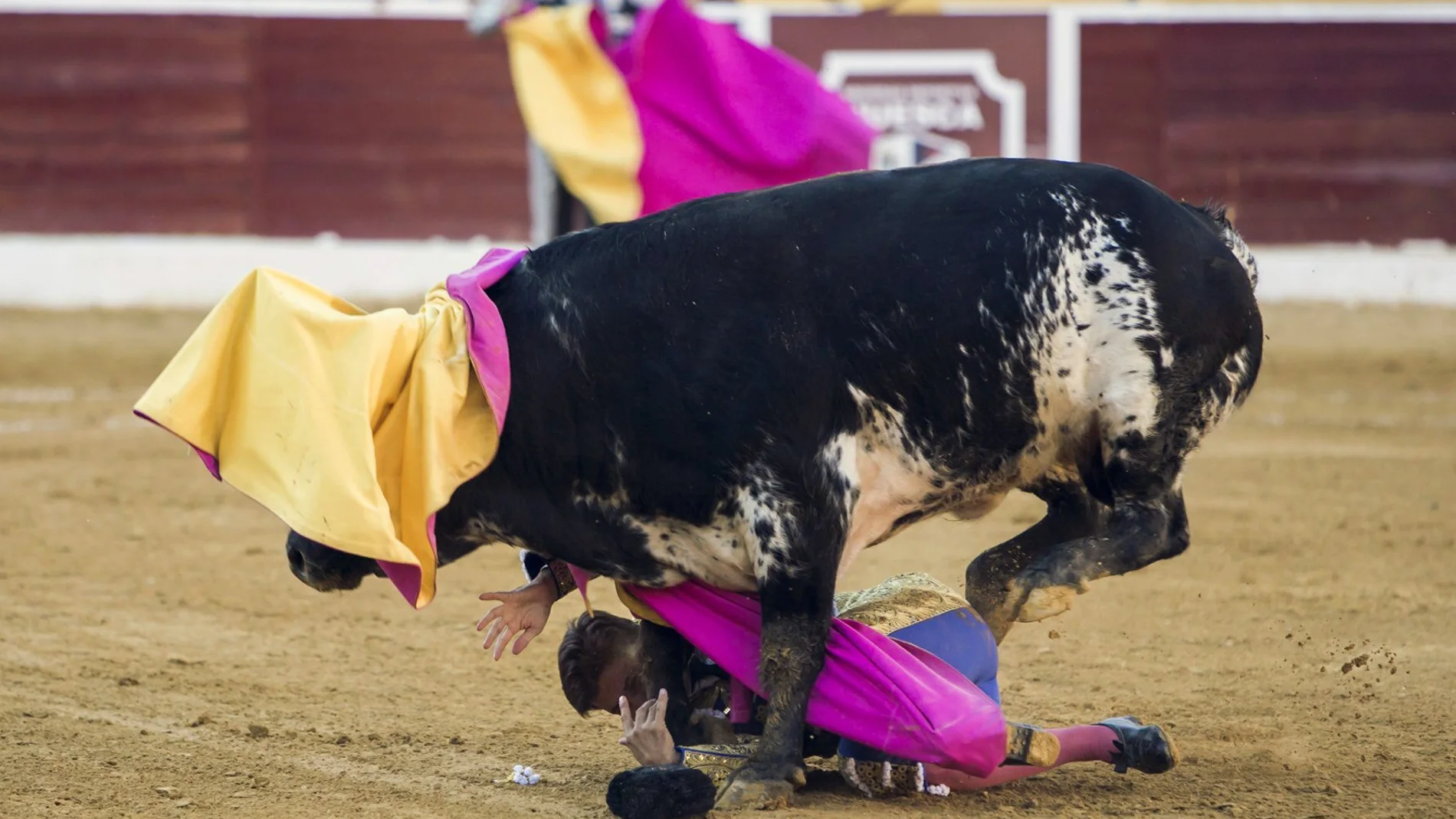 El matador de toros Francisco Rivera Ordóñez "Paquirri" sufre una cogida