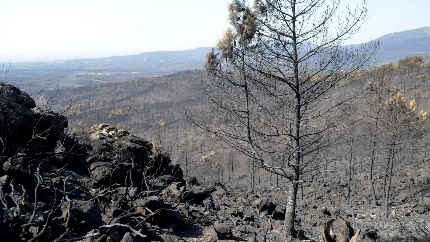 El incendio en la Sierra de Gata, Extremadura El incendio en la Sierra de Gata, Extremadura