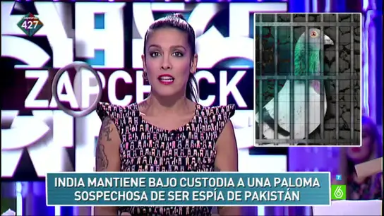 Lorena Castell, sobre una paloma detenida por espía: "La están interrogando pero no canta porque no es un canario" Lorena Castell, sobre una paloma detenida por espía: "La están interrogando pero no canta porque no es un canario"