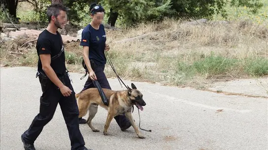 La unidad canina de la Policía Nacional registra una finca en Chillarón La unidad canina de la Policía Nacional registra una finca en Chillarón