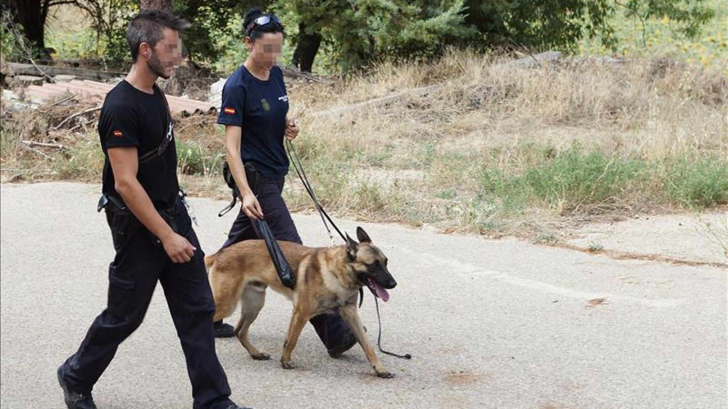 La unidad canina de la Polic&iacute;a Nacional registra una finca en Chillar&oacute;n