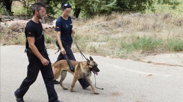 La unidad canina de la Policía Nacional registra una finca en Chillarón