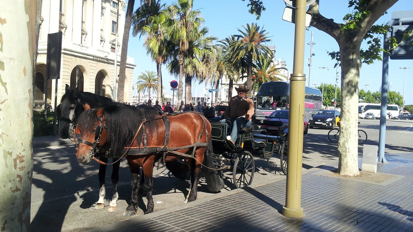 Carrozas de caballos en Barcelona Carrozas de caballos en Barcelona