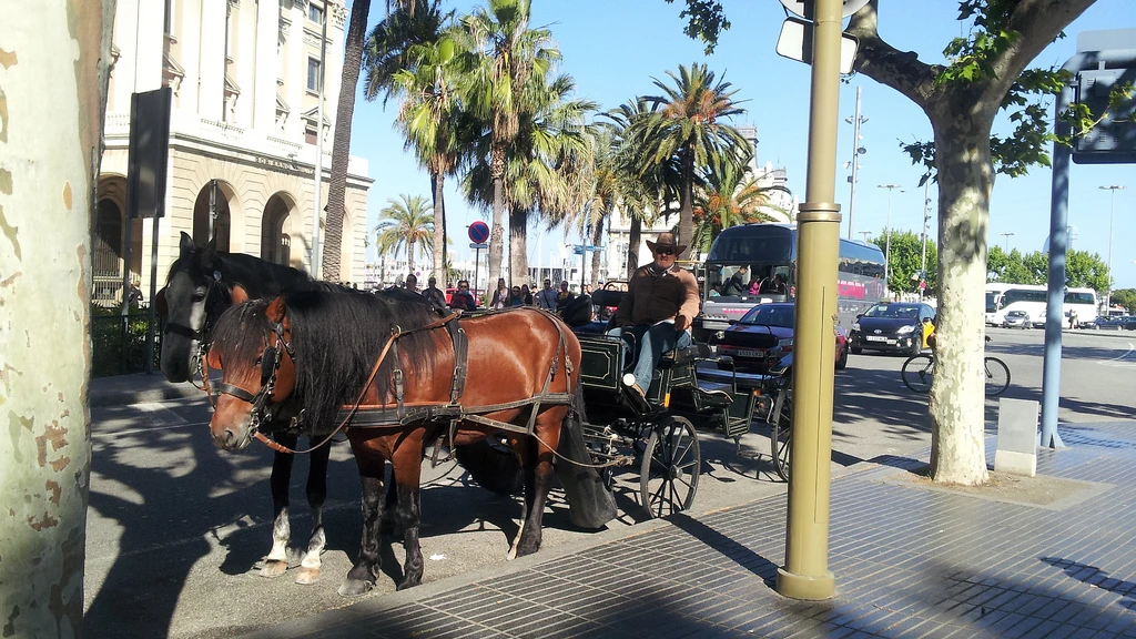 Carrozas de caballos en Barcelona