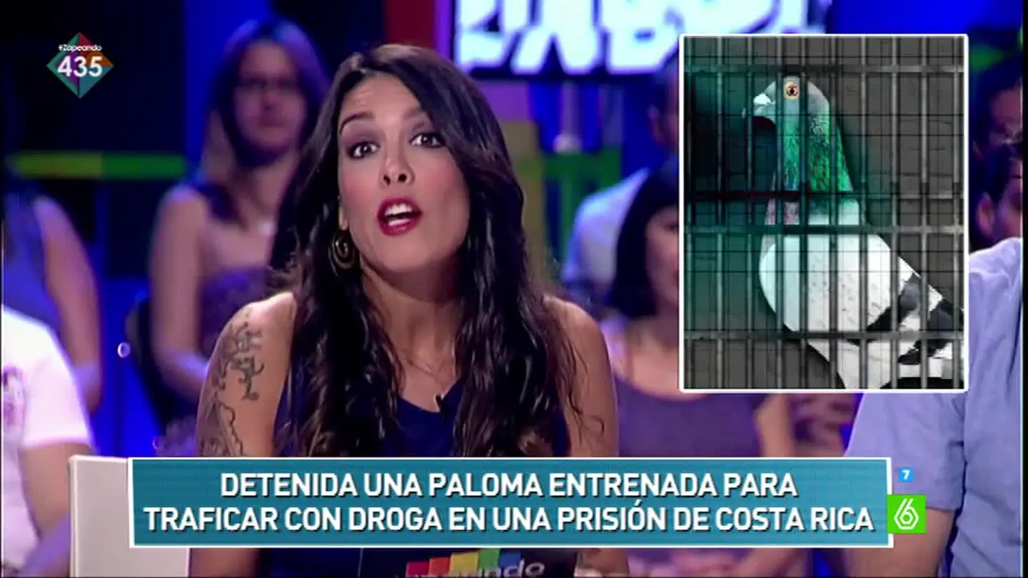 'Zapcheck' con Lorena Castell: ¿Una paloma es detenida en Costa Rica por traficar con drogas? 'Zapcheck' con Lorena Castell: ¿Una paloma es detenida en Costa Rica por traficar con drogas?