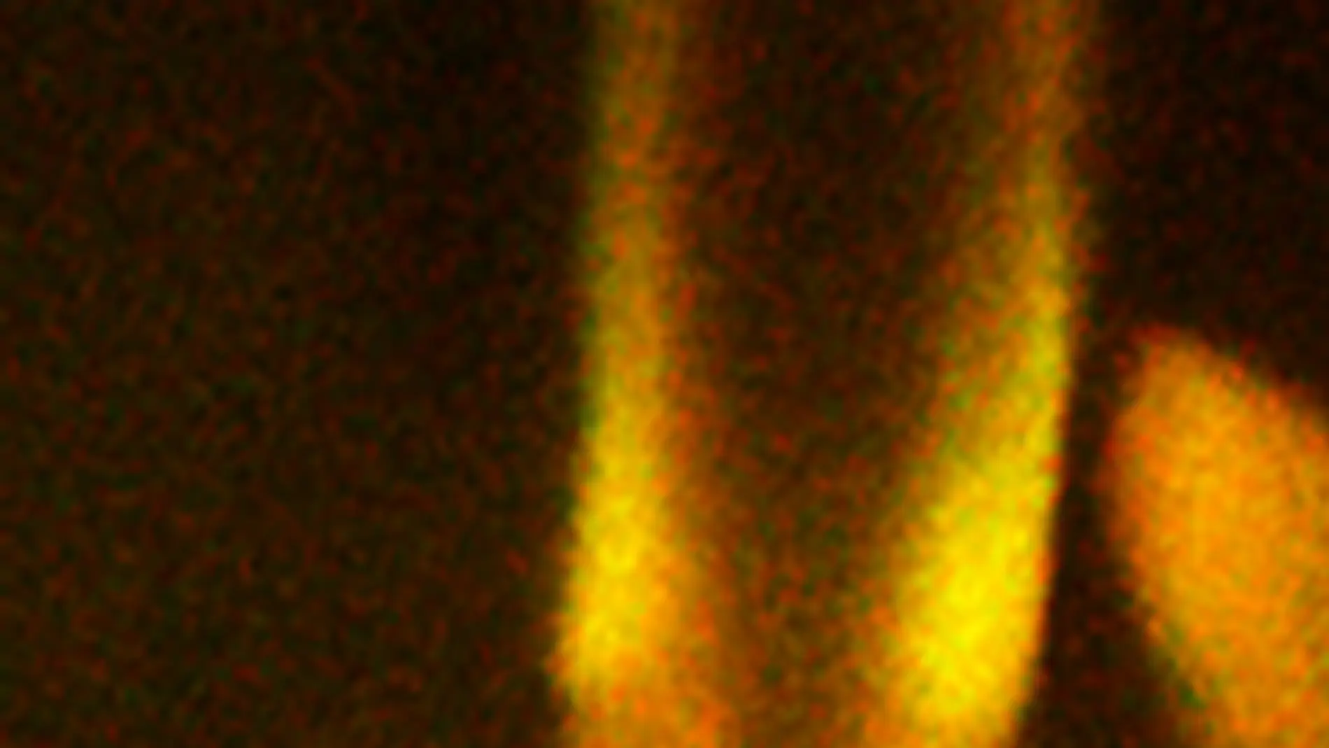 CGonzalez_CurrentBiology_Neuron_cilium