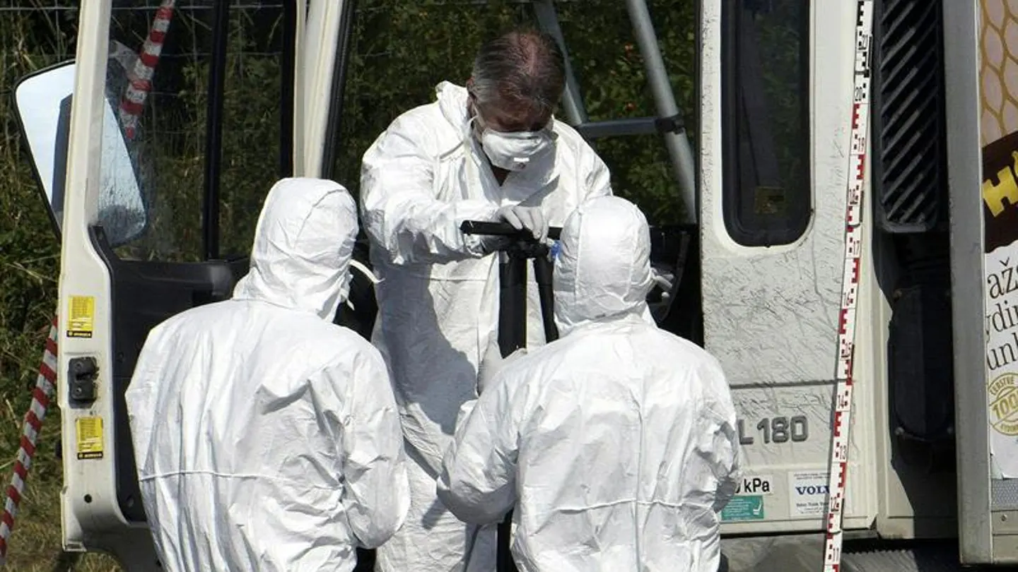 Interceptan otro camión al sur de Londres con inmigrantes Interceptan otro camión al sur de Londres con inmigrantes
