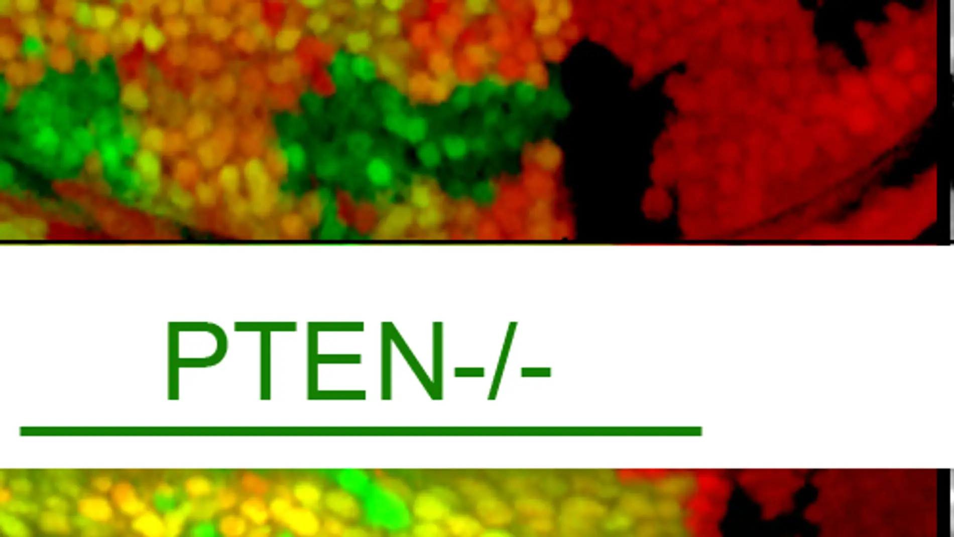PLoS Biology_Marco Milán
