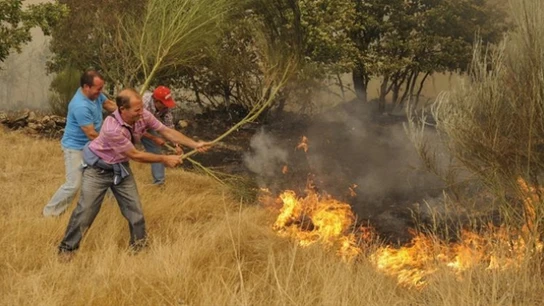 Un incendio forestal arrasa más de 3.000 hectáreas en Cualedro, Ourense Un incendio forestal arrasa más de 3.000 hectáreas en Cualedro, Ourense