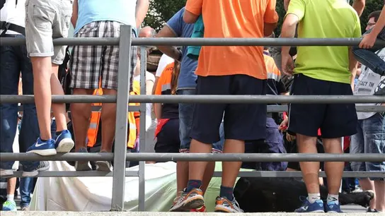 Accidentado encierro de Cuéllar donde solo un astado ha entrado en la plaza Accidentado encierro de Cuéllar donde solo un astado ha entrado en la plaza