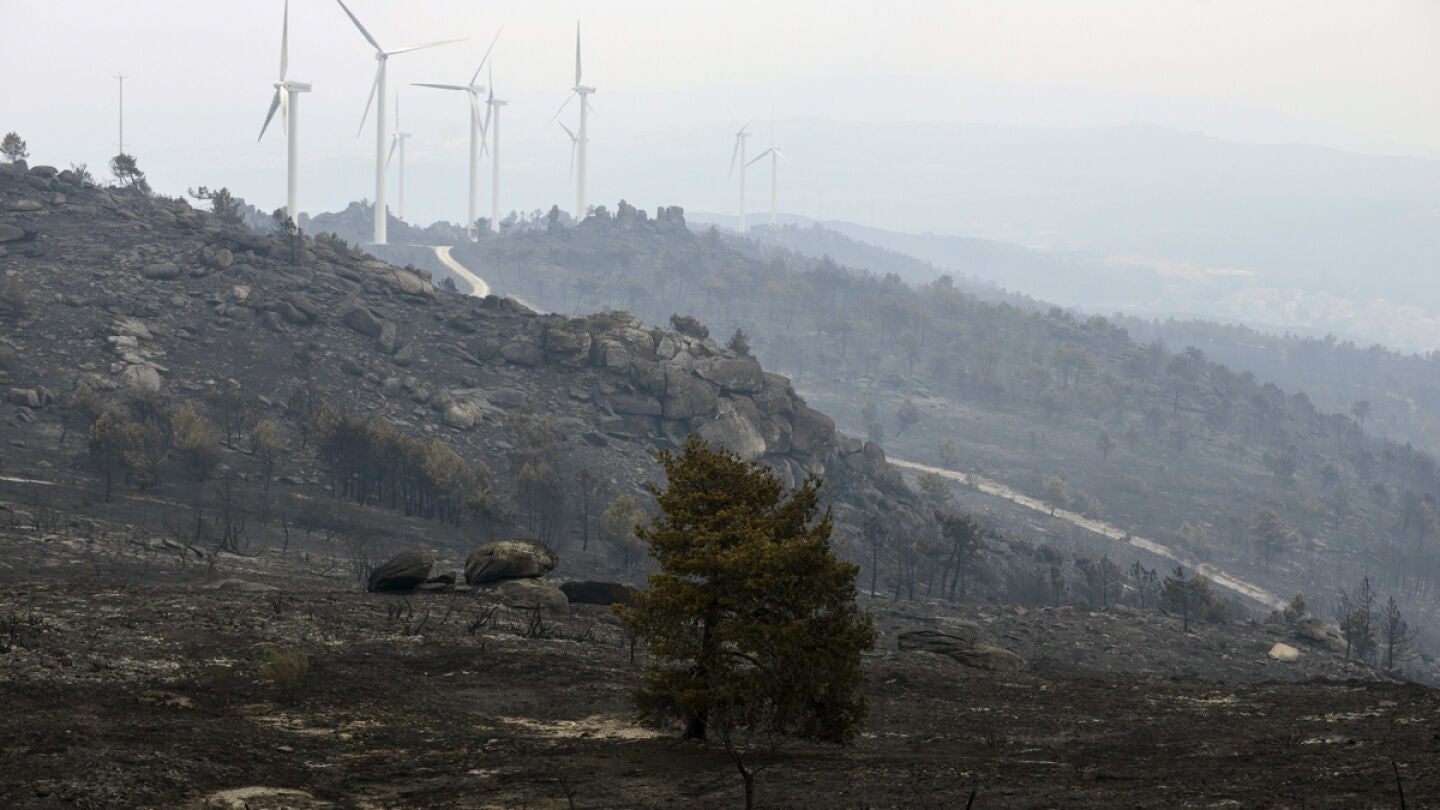 Vista de los da&ntilde;os causados por el incendio de Cualedro (Ourense)