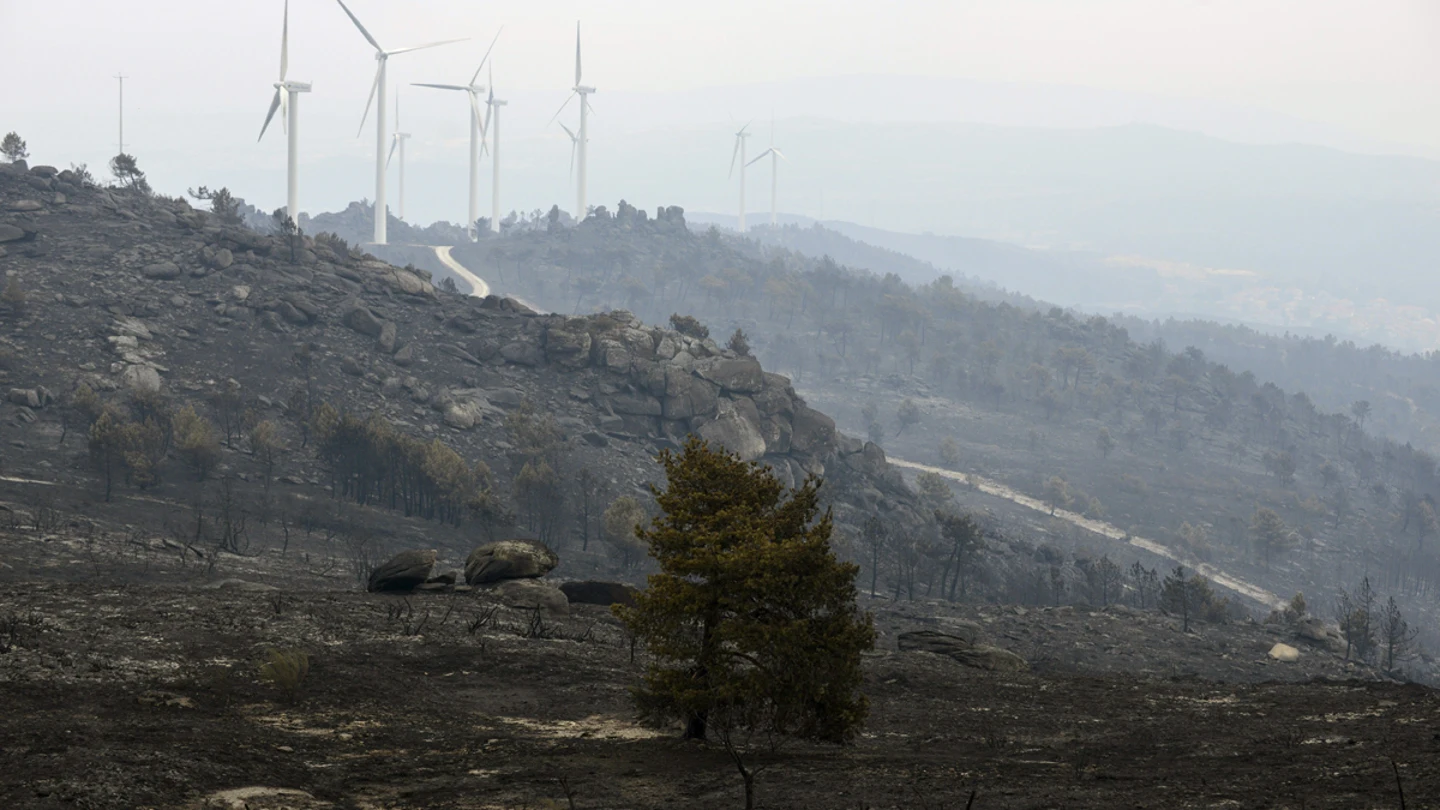 Vista de los daños causados por el incendio de Cualedro (Ourense) Vista de los daños causados por el incendio de Cualedro (Ourense)