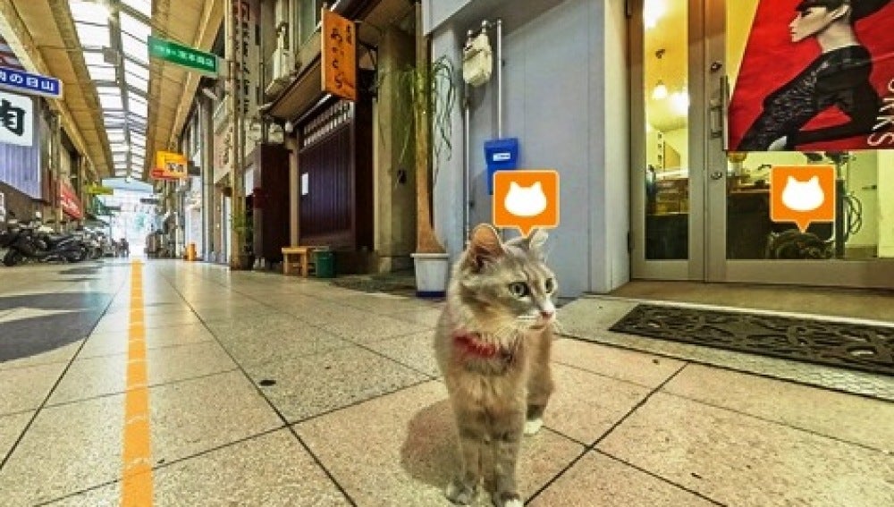 Imagen del mapa interactivo 'Cat Street View'