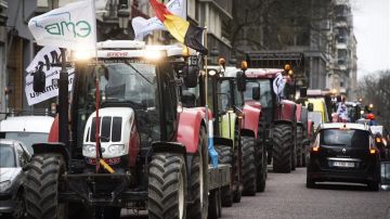 Los tractores llegan en masa a Bruselas en protesta por el precio de la leche