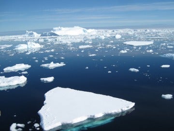 Icebergs flotando en el océano Antártico Icebergs flotando en el océano Antártico