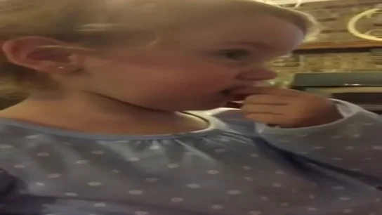 00238 00238