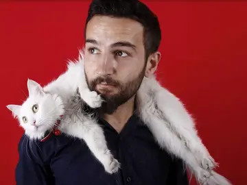 A diferencia de los perros, los gatos no necesitan a sus dueños A diferencia de los perros, los gatos no necesitan a sus dueños