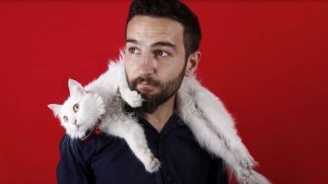 A diferencia de los perros, los gatos no necesitan a sus dueños